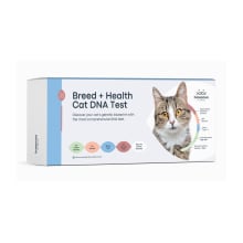 Product image of Basepaws Breed + Health Cat DNA Test