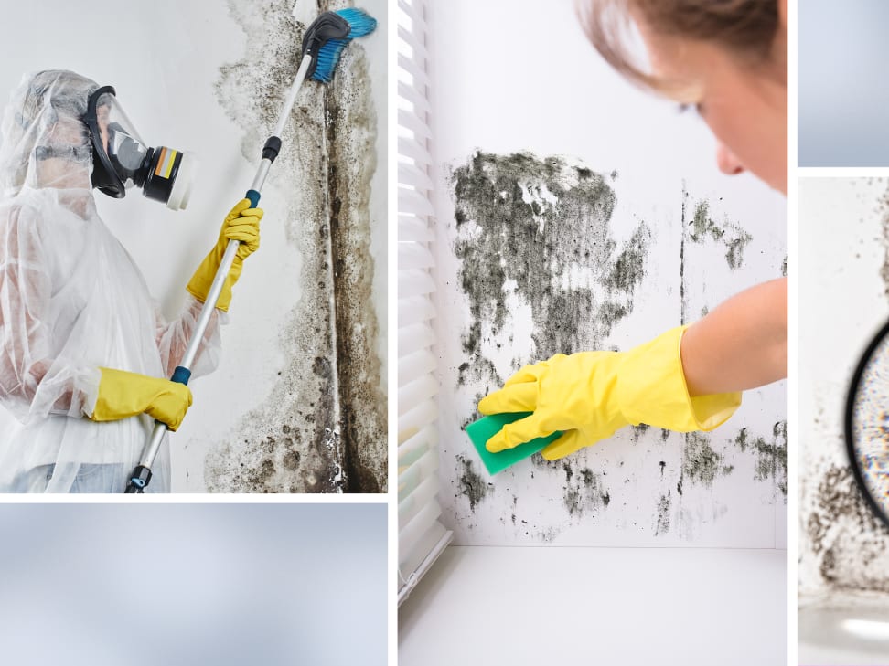 How to Prevent Mold After Water Damage (The Complete Guide)