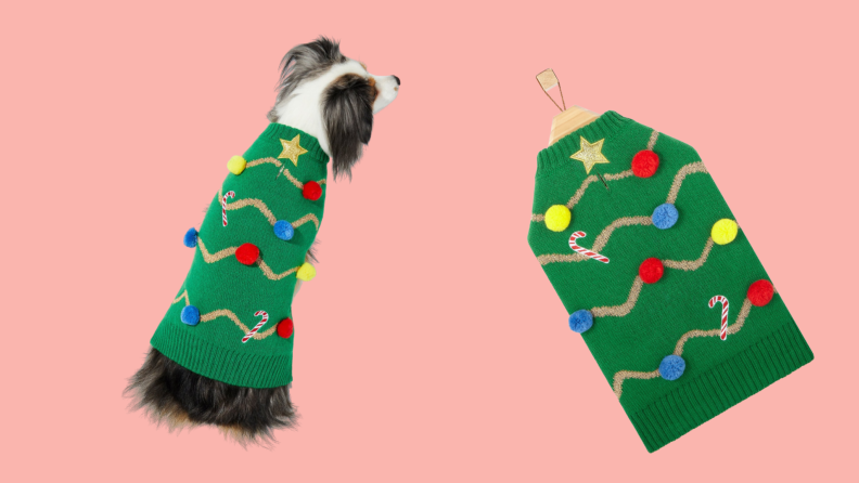 A dog wears a Christmas sweater that looks like a Christmas tree.