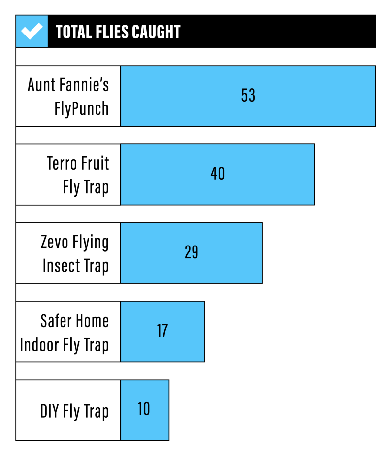 Infographic of different brands of home fly traps.