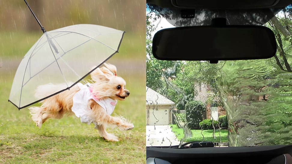 10 reasons to look forward to the rainy days of spring