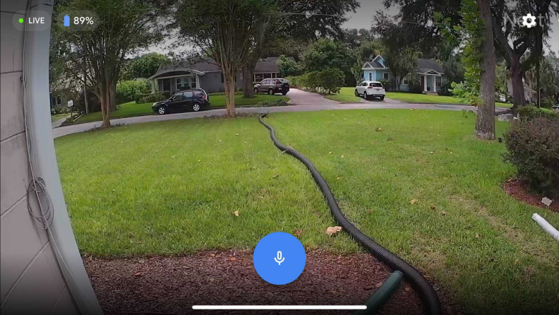 The live view from the Nest Cam (battery)