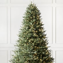 Product image of Balsam Hill Balsam Fir