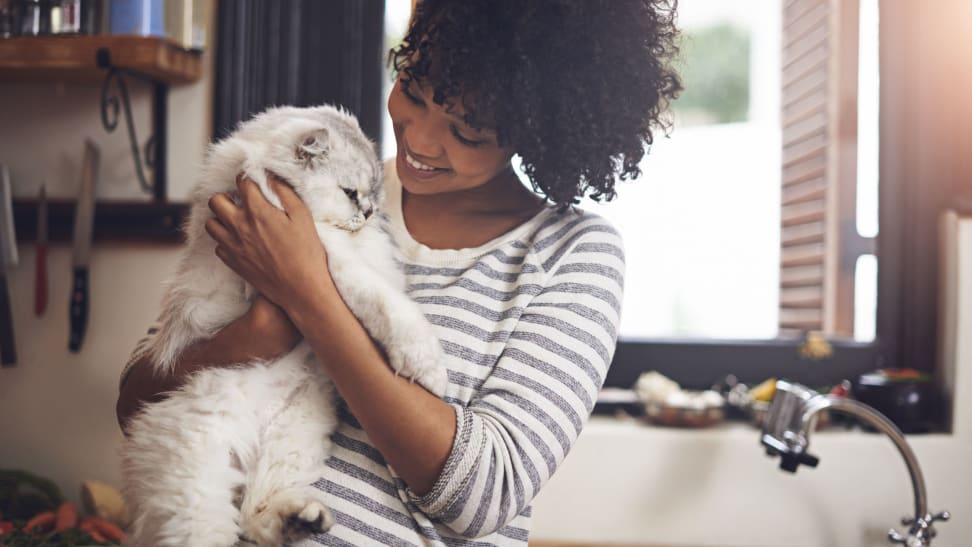 A young woman holds a fluffy white cat close for a cuddle