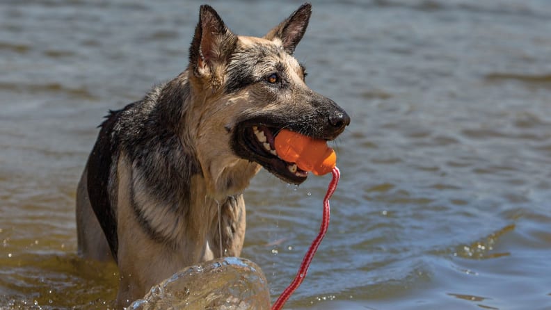 This fun toy is a must-have for days at the beach.