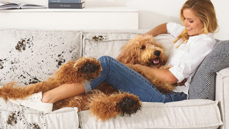 A person lays on the couch with their dog.