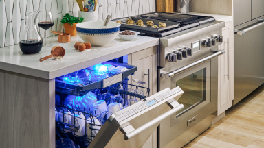 A Star Sapphire dishwasher from Thermador
