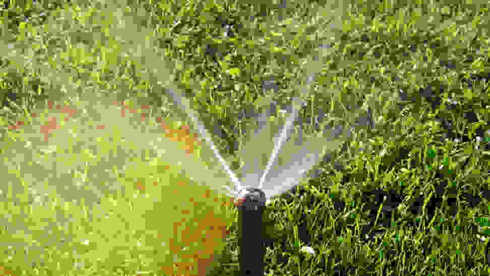 A sprinkler sprays water across a green lawn.