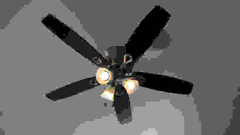 Hue bulbs in ceiling fan