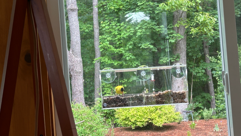 A window bird feeder seen on a window from inside a home