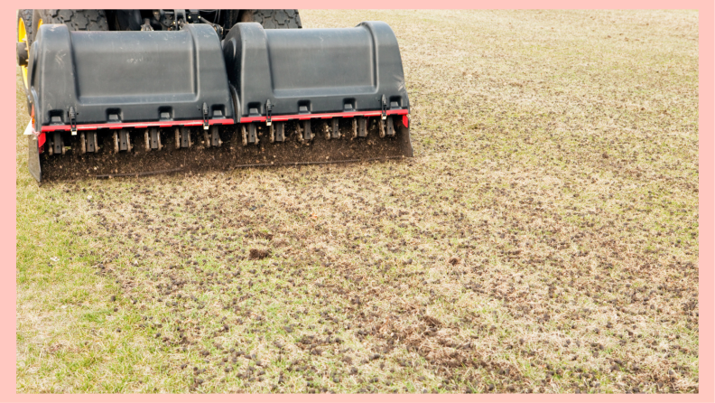 aerating a lawn