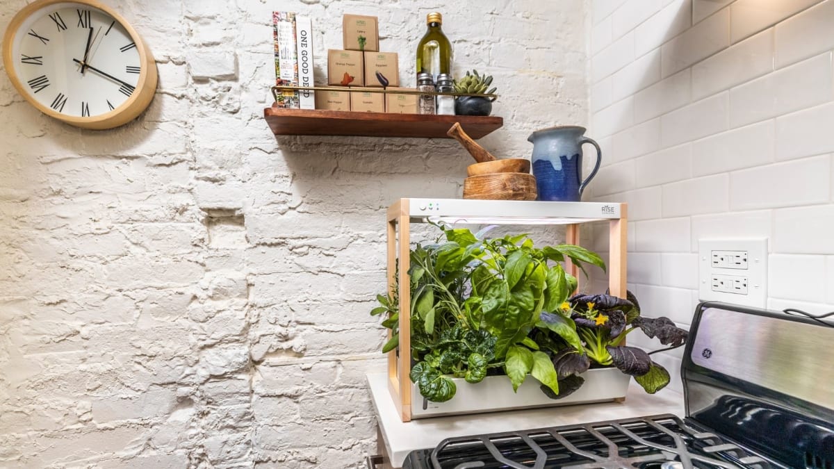 Top 15 smart garden for kitchen you need to invest in