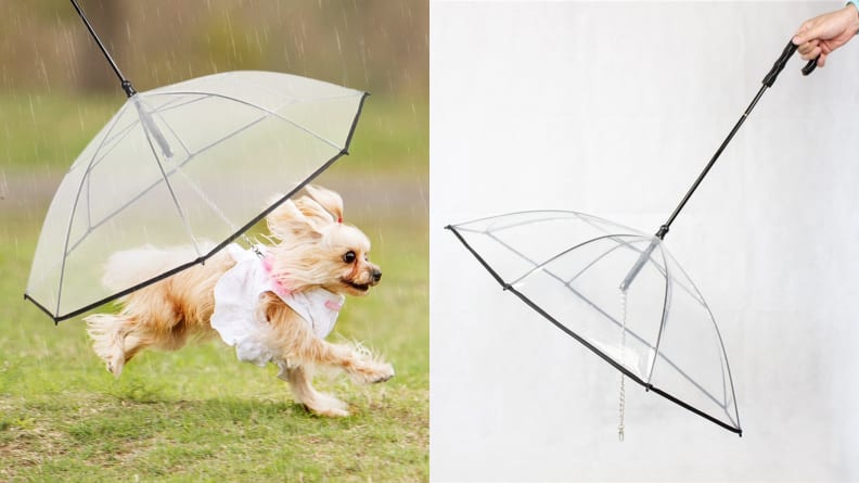Nice Hyacinth Pet Umbrella