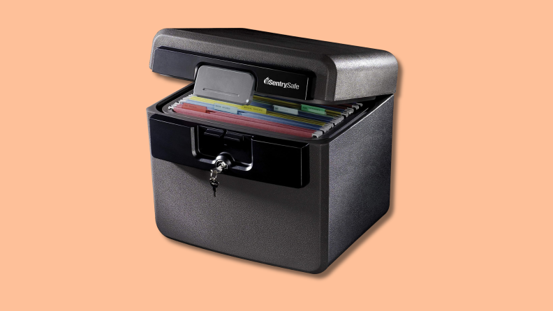 The Sentry Safe Safe Box on an orange background.