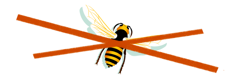 Illustration of a murder hornet with a red 'X' over it