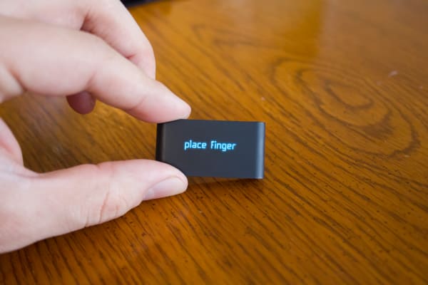The Pulse asking you to "place your finger."