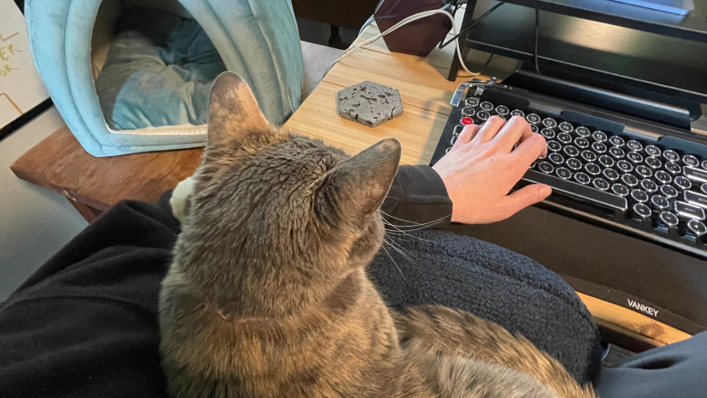 A cat sitting in a person lap on a Quiet Mind pillow.