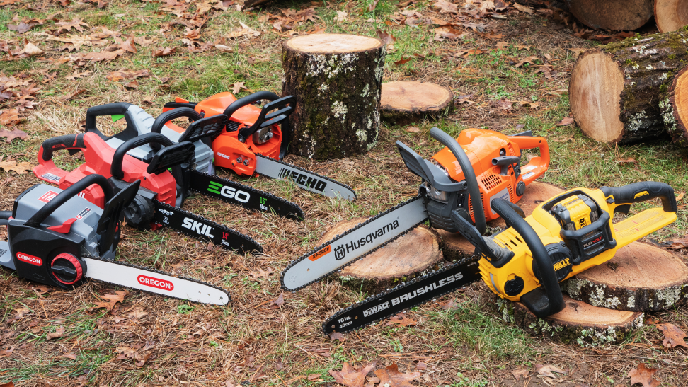Six chainsaws sitting on the ground outside near a tree stump