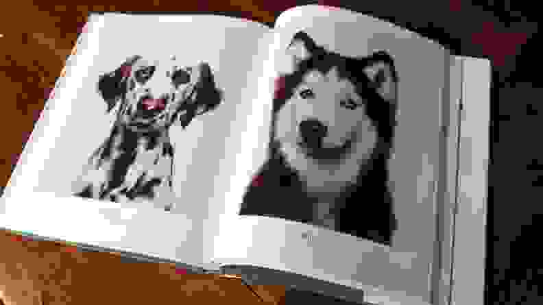 An image of the Good Dog book open to several pictures of dogs.