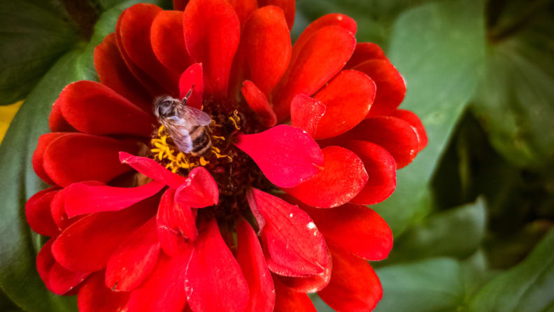 Shot on the LG V30 and edited in Lightroom Mobile.