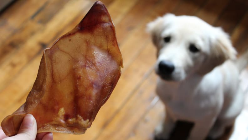 Pig ear
