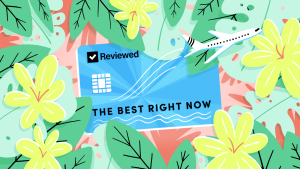 一张有插图的信用卡，上面写着“评论现在最好”，被热带鲜花和一架飞机环绕着