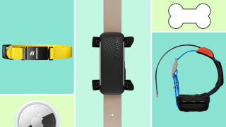 Four dog trackers and a cartoon dog bone on a colorful background