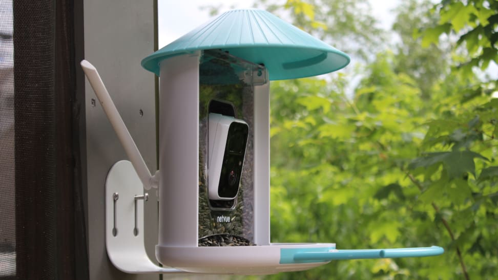 NETVUE Birdfy AI Bird Feeder Review