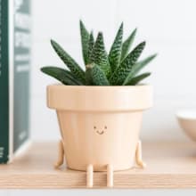 Product image of Sitting Indoor Plant Pot