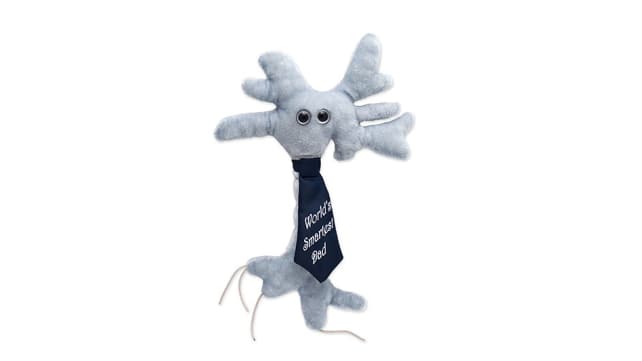 Brain Cell