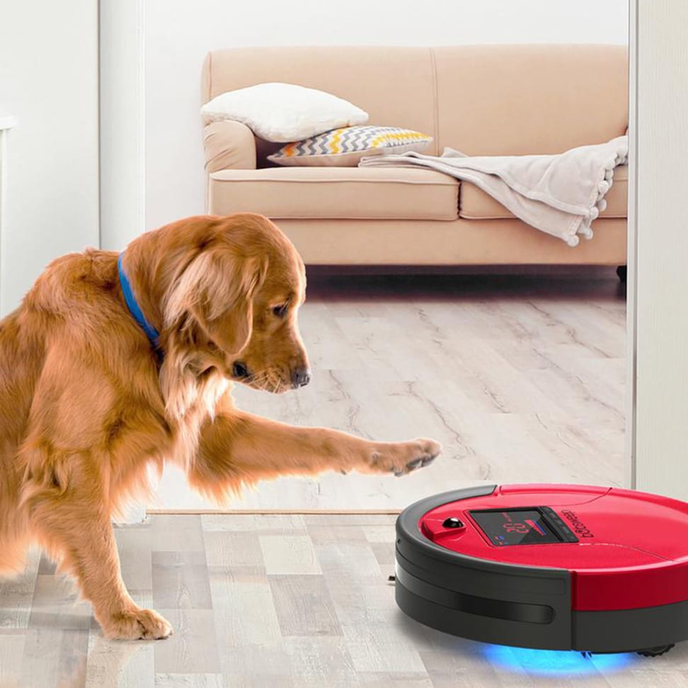 Can you use a robot vacuum if you have pets that shed a ton of hair? Reviewed