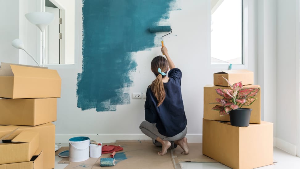 A person paints their white walls blue.