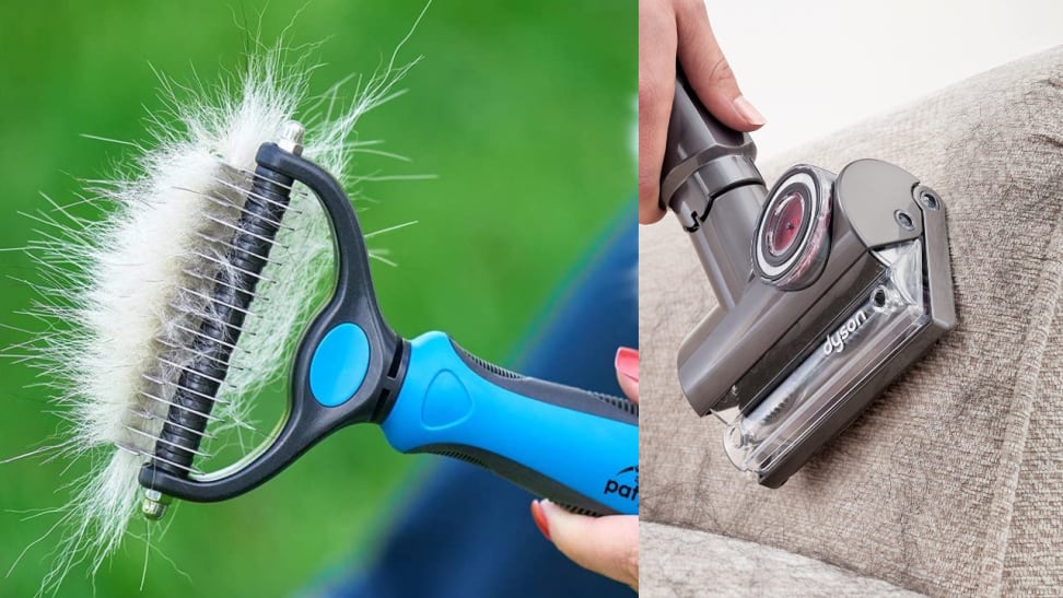 Cover: Top 6 Best Hair Removal Brushes for dogs of 2022