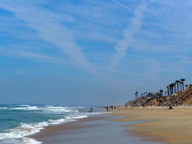 EXIF: 42.5mm, ISO 200, 1/2500, f/5.6