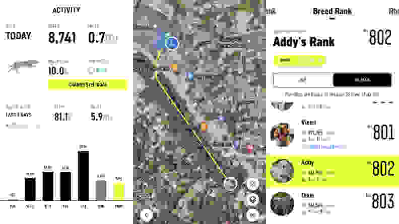 The Fi Collar will track your dog's daily steps, as well as their location.