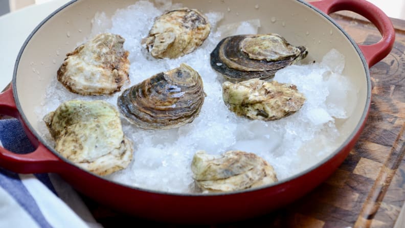 Seven raw oysters are chilling on a bed of crushed ice.