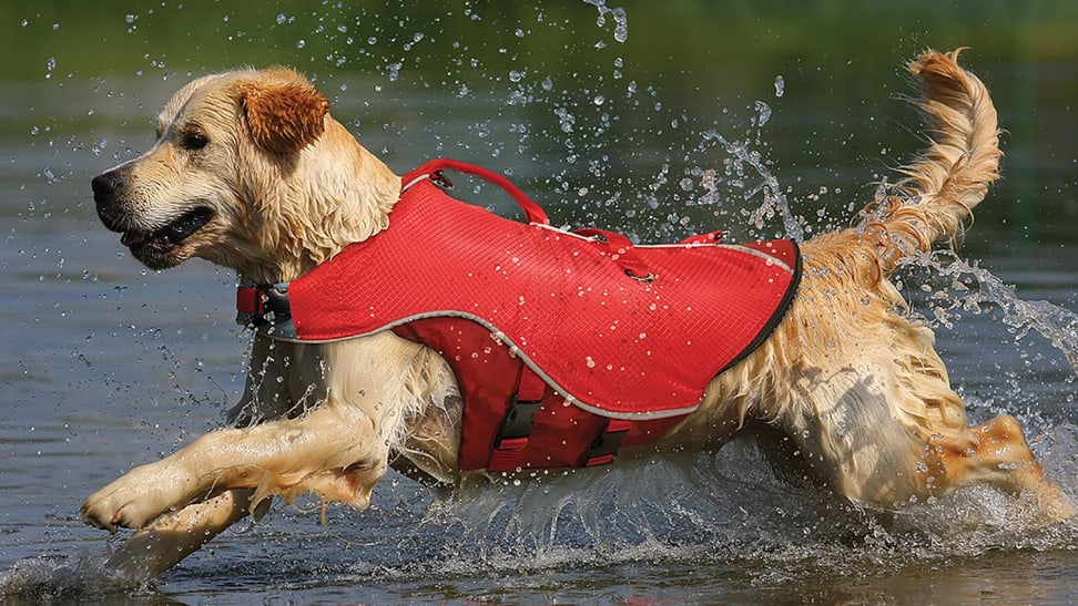 petsmart dog poop bags