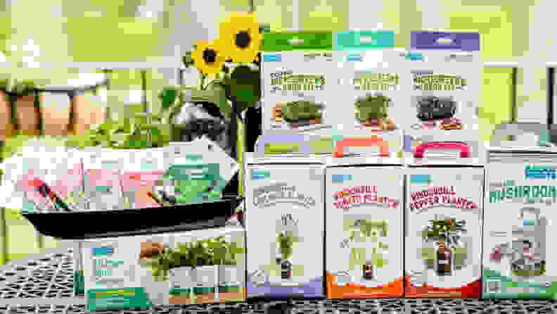 Gardening grow kits on outdoor patio table