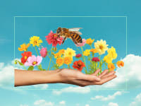 Photo illustration of a hand sprouting flowers with a giant bee.