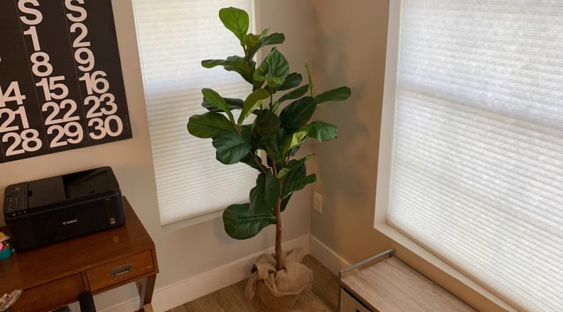 Indoor fake plants are better than real plants—here's why - Reviewed