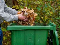 Man cleaning up leaves in fall