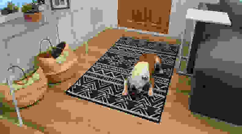 A dog eating a bone on a Ruggable rug.