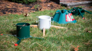 Four Christmas tree stands are lined up on grass