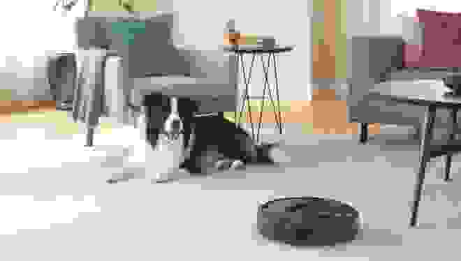 dog lying on rug next to iRobot robot vacuum cleaner