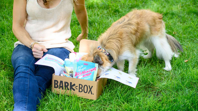 An image of a woman and a small dog opening a Bark Box together.