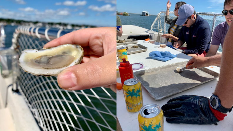 The Island Creek oyster farm in Duxbury, Mass. is worth visiting when farm tour is open again.