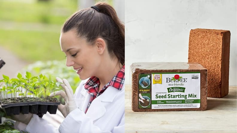 On left, person holding seedling container in greenhouse. On left, soil seed starting brick.