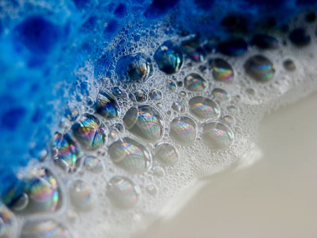 Soapy sponge
