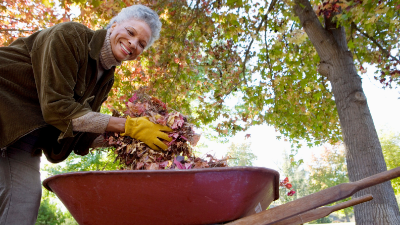 Woman picking up leaves with a wheelbarrow