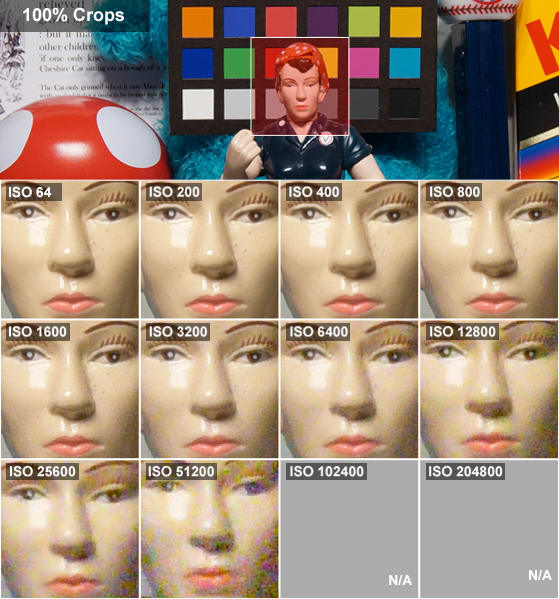 DCI-ROSIE-CROPS.png